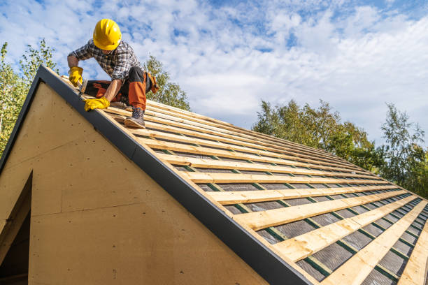 Best Shingle Roofing Installation  in Canby, MN