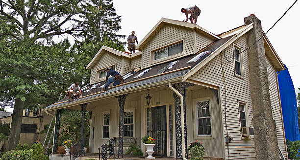 Best Emergency Roof Repair  in Canby, MN
