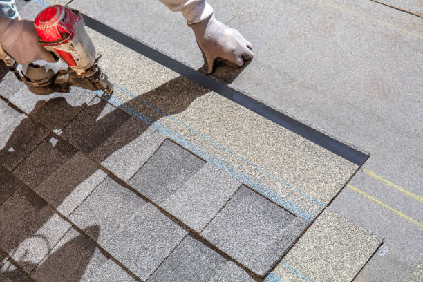 Best Shingle Roofing Installation  in Canby, MN